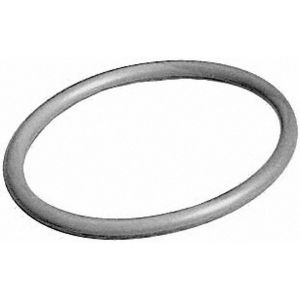 National 244PKG O-Ring