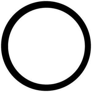 STANT GAS CAPS 27288 Stant Engine Coolant Thermostat Seal