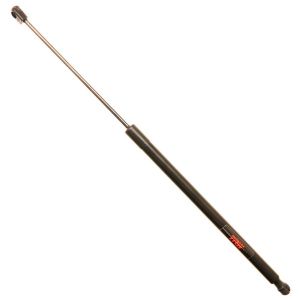 TRW TSG229027